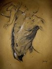 centauro Nesso (originale di Guido Reni)
*
fusaggine e gesso su carta paglia
charcoal and chalk
*
40x50cm, giugno 2008