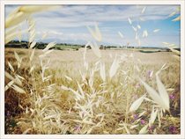 parcopoesia_uoaqcv_evalaudace_01