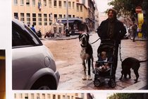 analogica_evalaudace_14