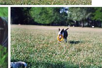 analogica_evalaudace_09