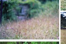 analogica_evalaudace_08