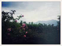 turba_evalaudace_16