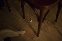 carlottazarattini_evalaudace_bologna_18