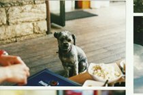 analogica_evalaudace_01